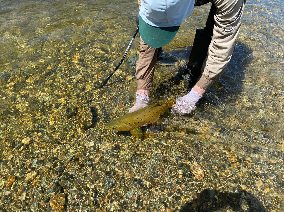 Mataura Valley Trout Safaris-戈尔必去景点