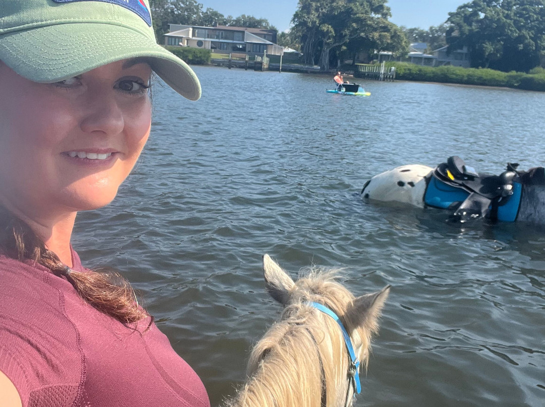 Florida Beach Horses-布雷登顿必去景点