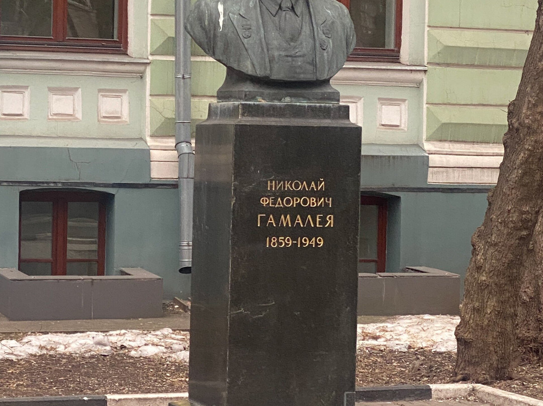 Monument-Bust to N. F. Gamaley-莫斯科必去景点