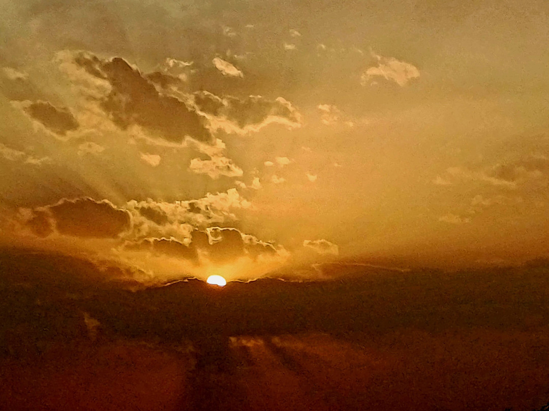 Arna Jharna: The Thar Desert Museum of Rajasthan-焦特布尔必去景点