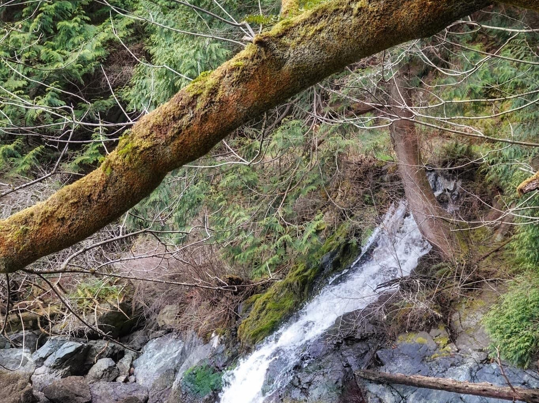 Judd Cove Preserve-Orcas Island必去景点