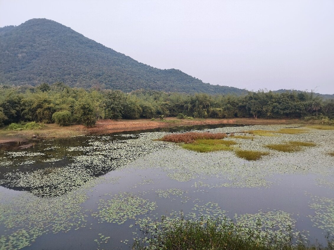 Dhenkanal Palace主图