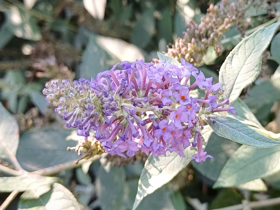 Laghetto di Giussano-Giussano必去景点