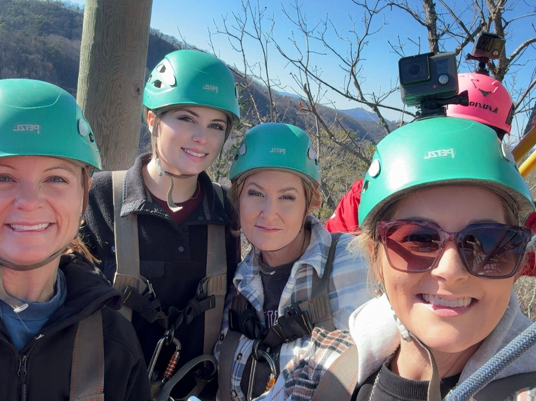 Smoky Mountain Ziplines-皮金福奇必去景点