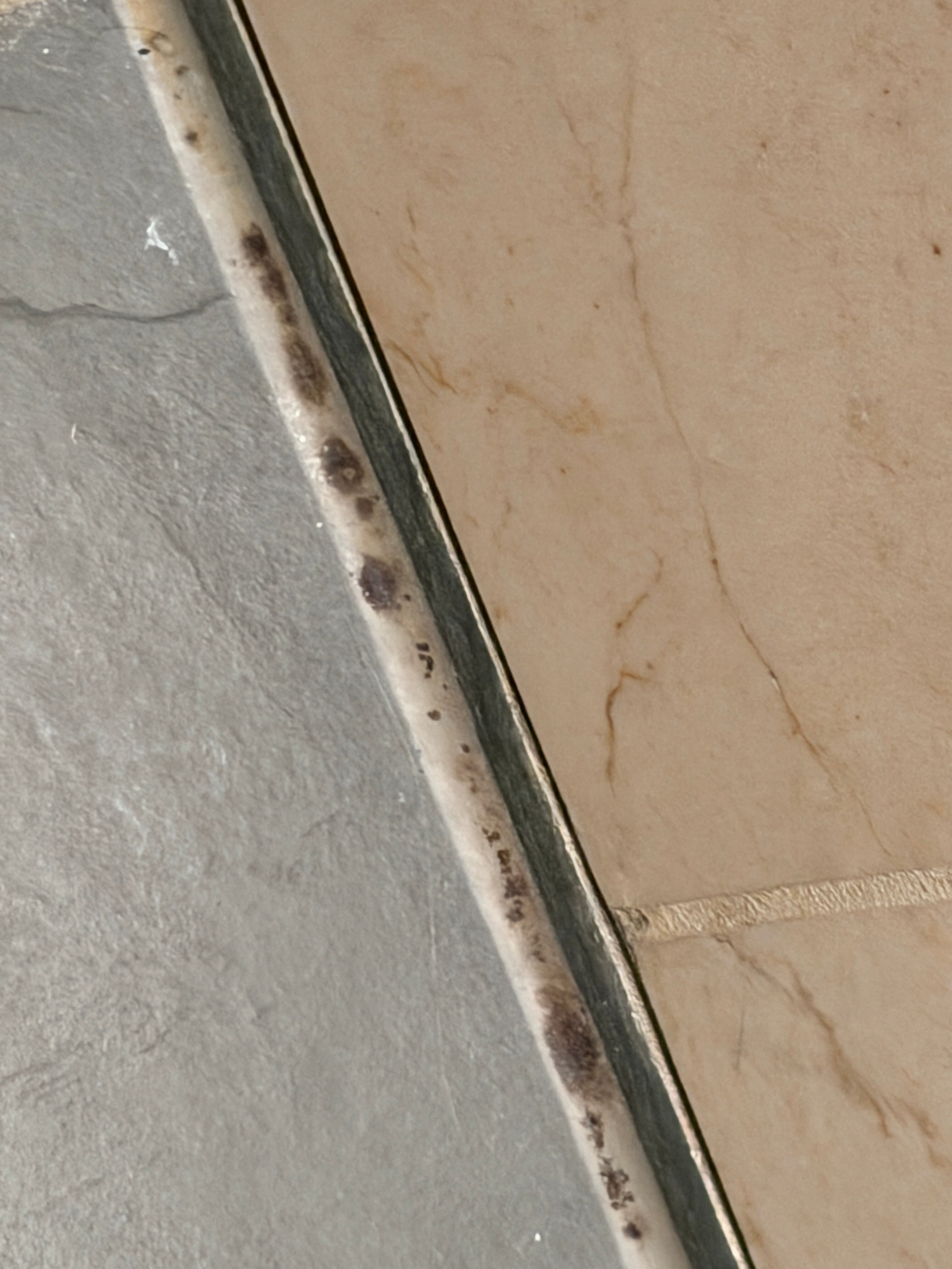 美因茨瑞格奈斯酒店-官方