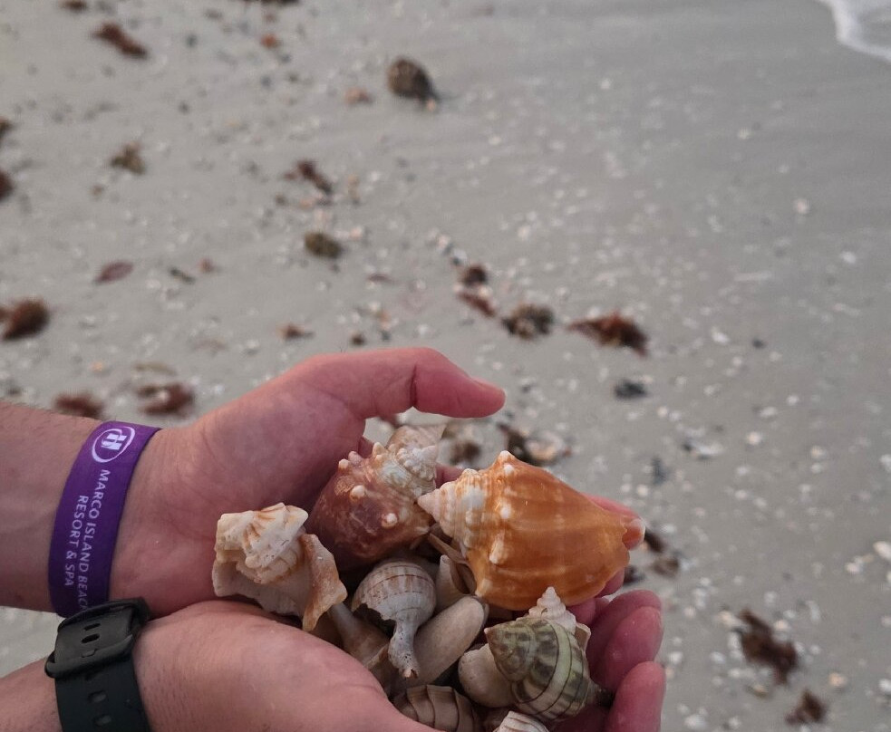 South Marco Beach-马可岛必去景点