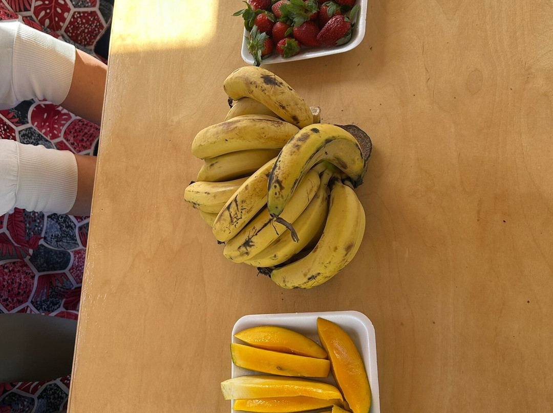 Marsa Alam City Taxi-马萨阿拉姆必去景点