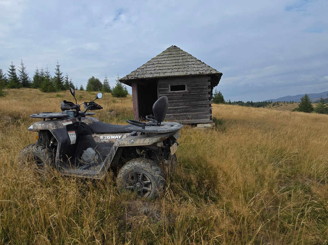 Buggy Trip Valea Doftanei