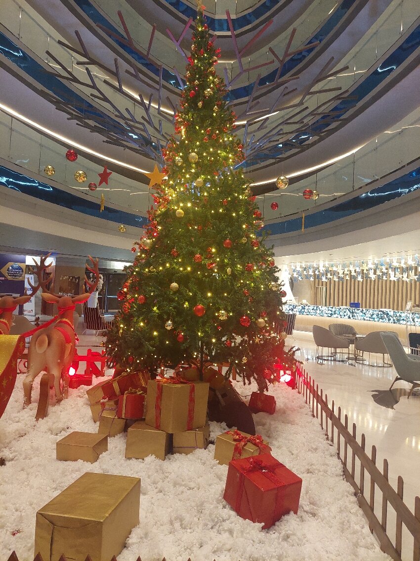 皇家翼酒店-官方