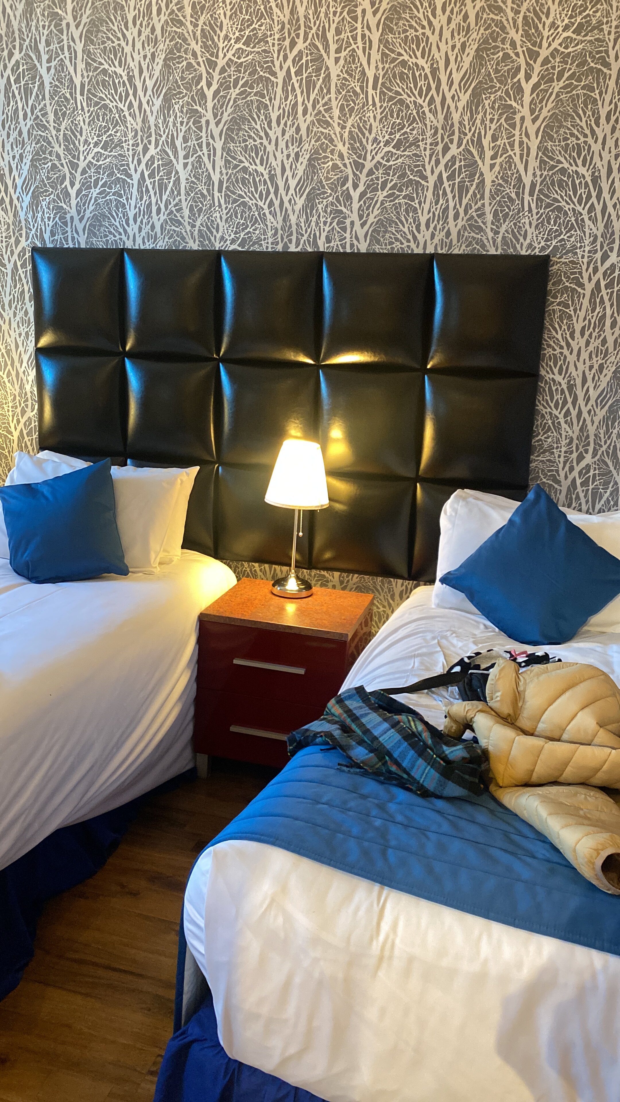 卡迪夫皇家酒店-客卧