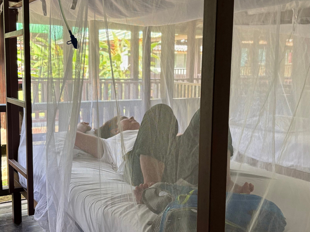 Surcos Tours-希门尼斯港必去景点