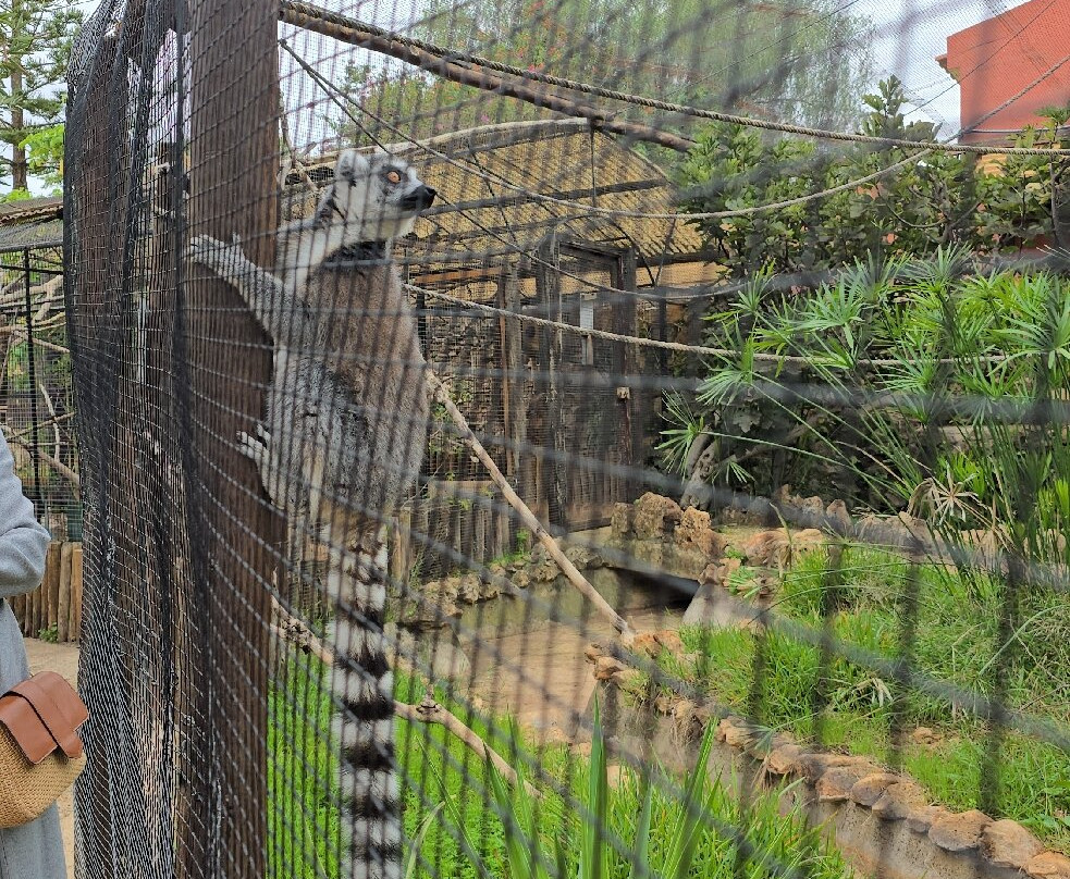 Krazy World Zoo-Algoz必去景点