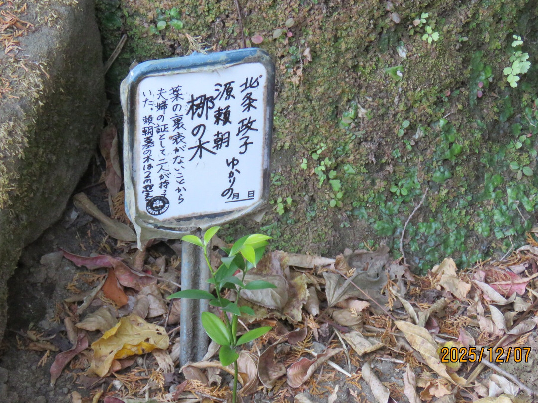 Jufukuji Temple-镰仓市必去景点