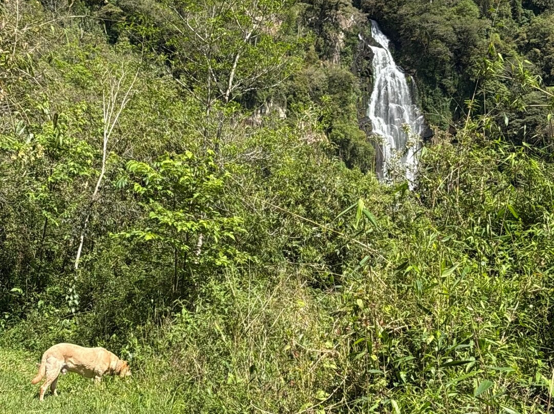 Cascata do Moinho-Progresso必去景点