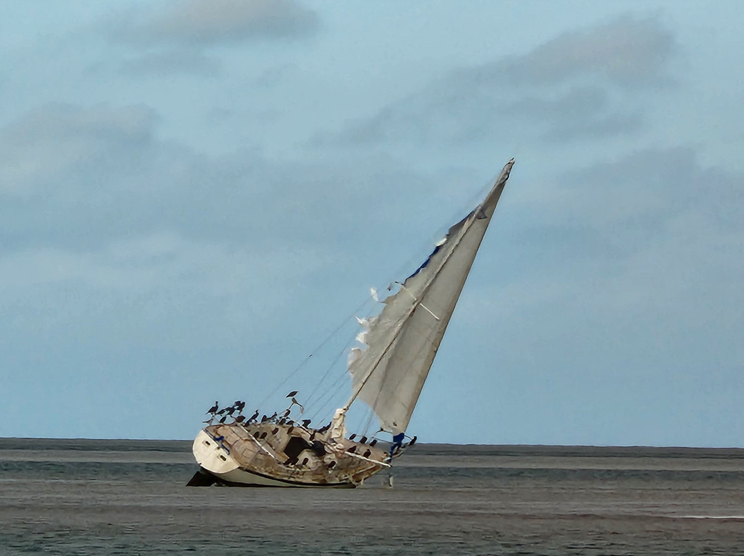 Honest Eco-基韦斯特必去景点