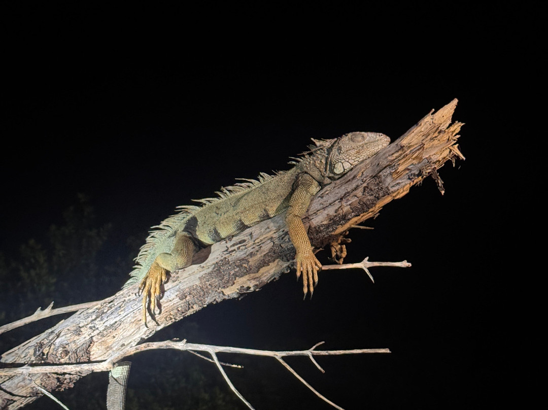 BioIsland-Cabezas必去景点