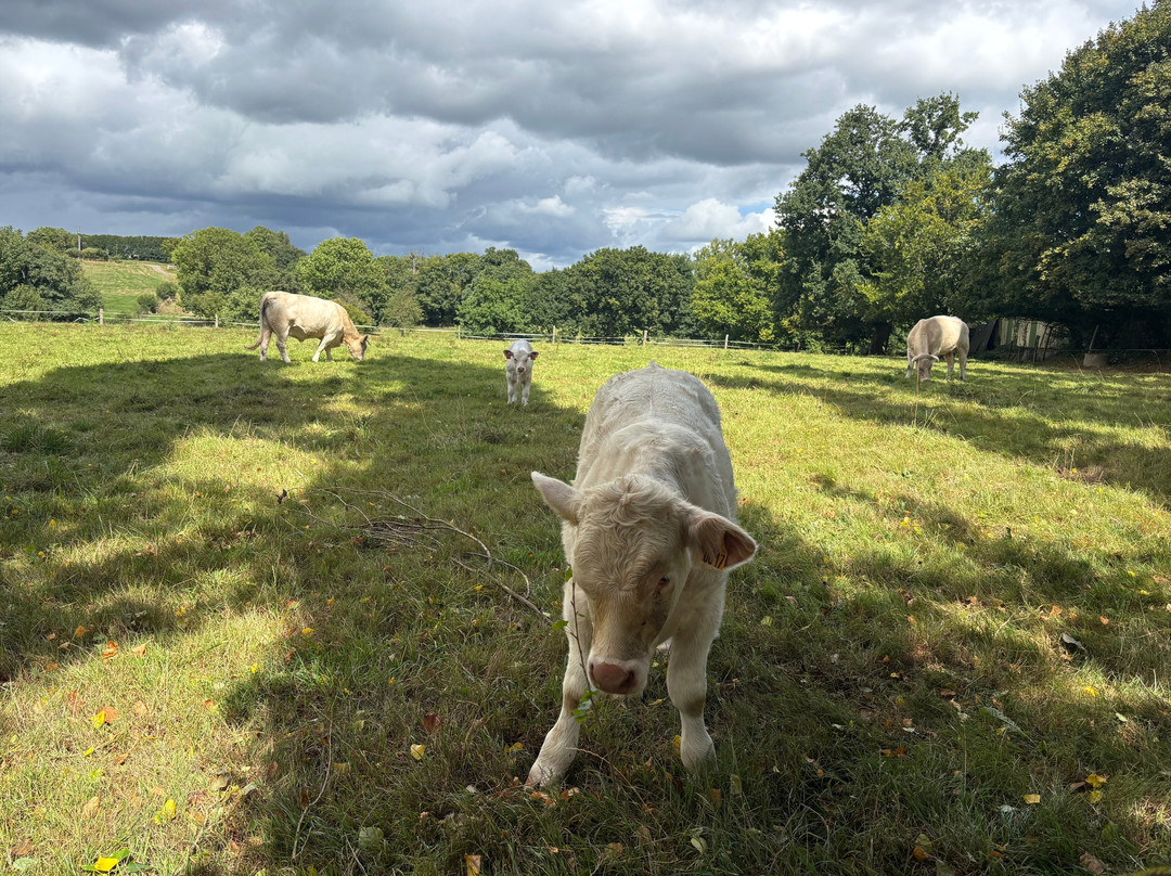 La Ferme de Grémi-null必去景点