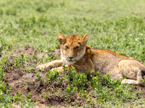 Akshar Tours And Safaris-姆万扎必去景点