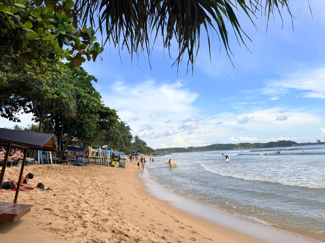 Scenic Ceylon Tours-Polgahawela必去景点