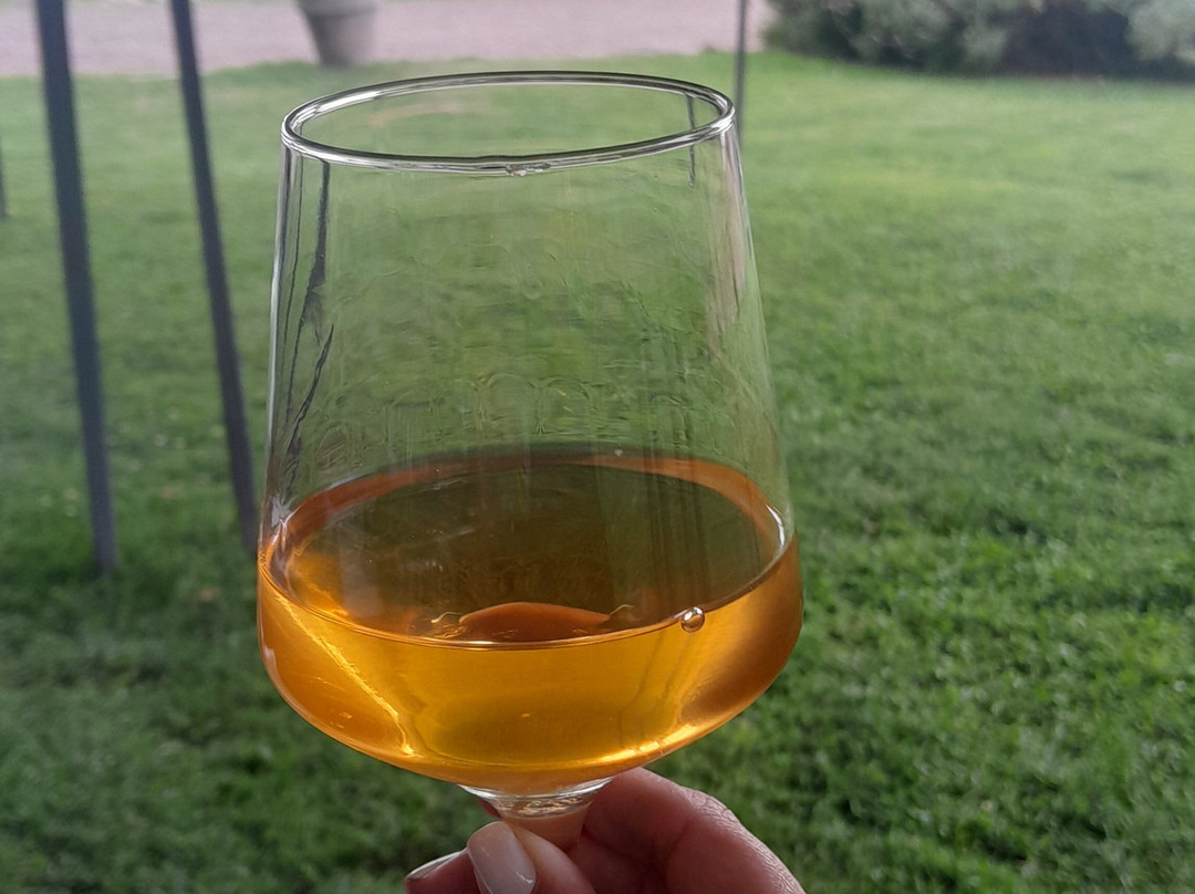 Bodega Hacienda del Plata-路冉得库约必去景点