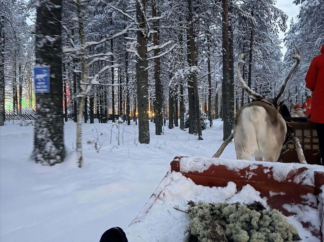 圣诞老人驯鹿雪橇之旅-罗瓦涅米必去景点
