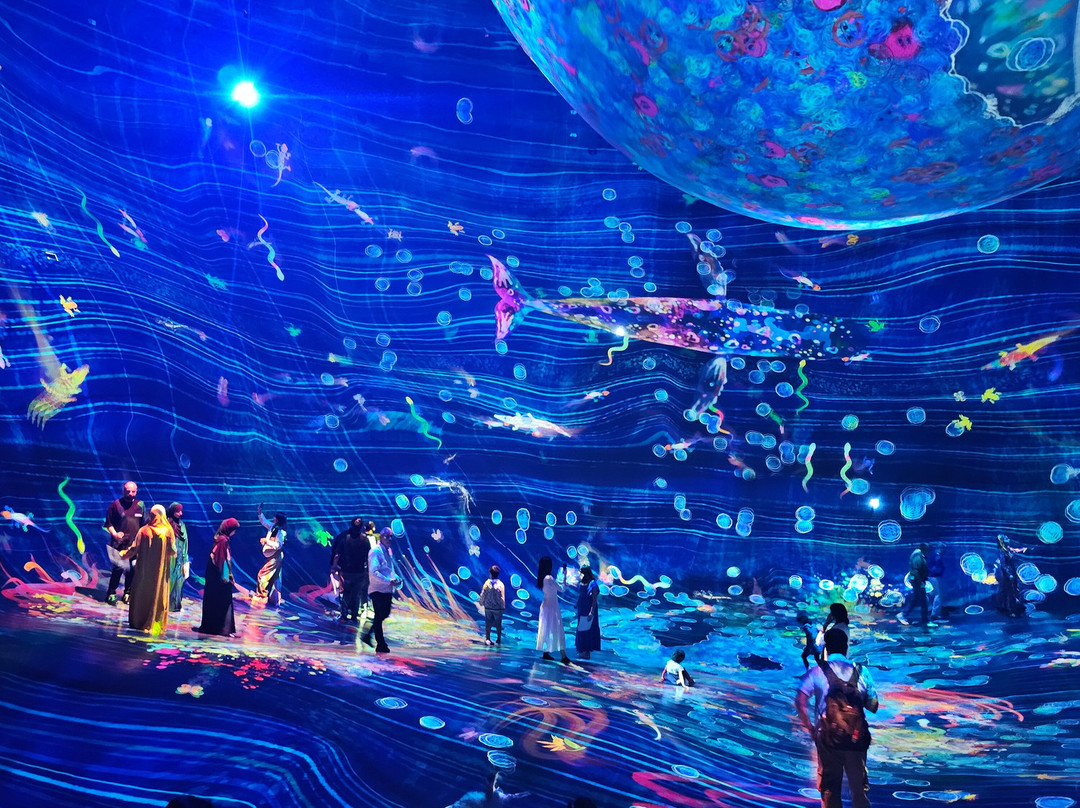 teamLab Phenomena Abu Dhabi-阿布扎比必去景点