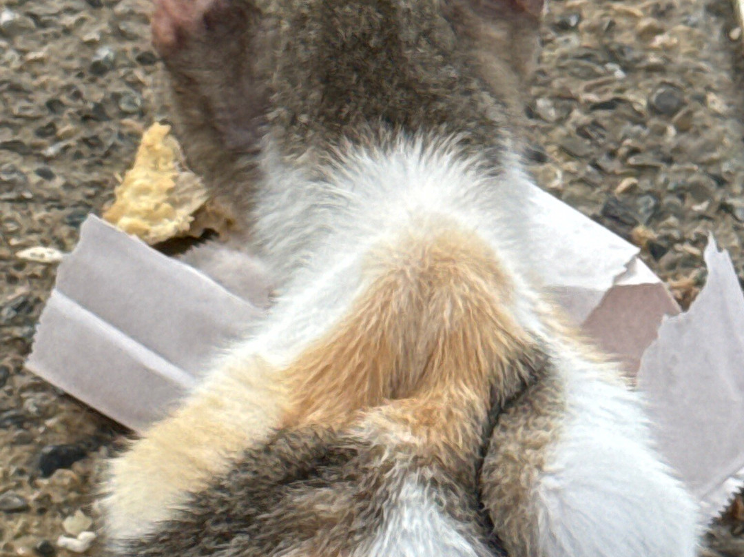 Runners Adventures-普拉塔港必去景点