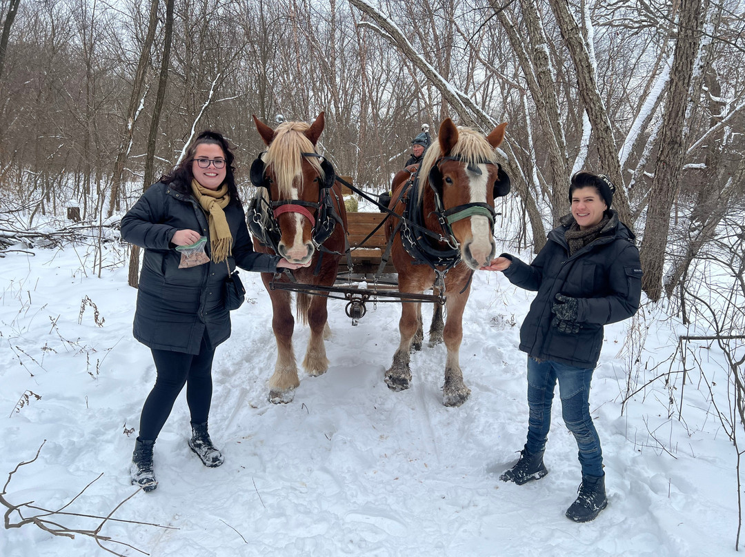 Red Ridge Riding Stable-Mauston必去景点