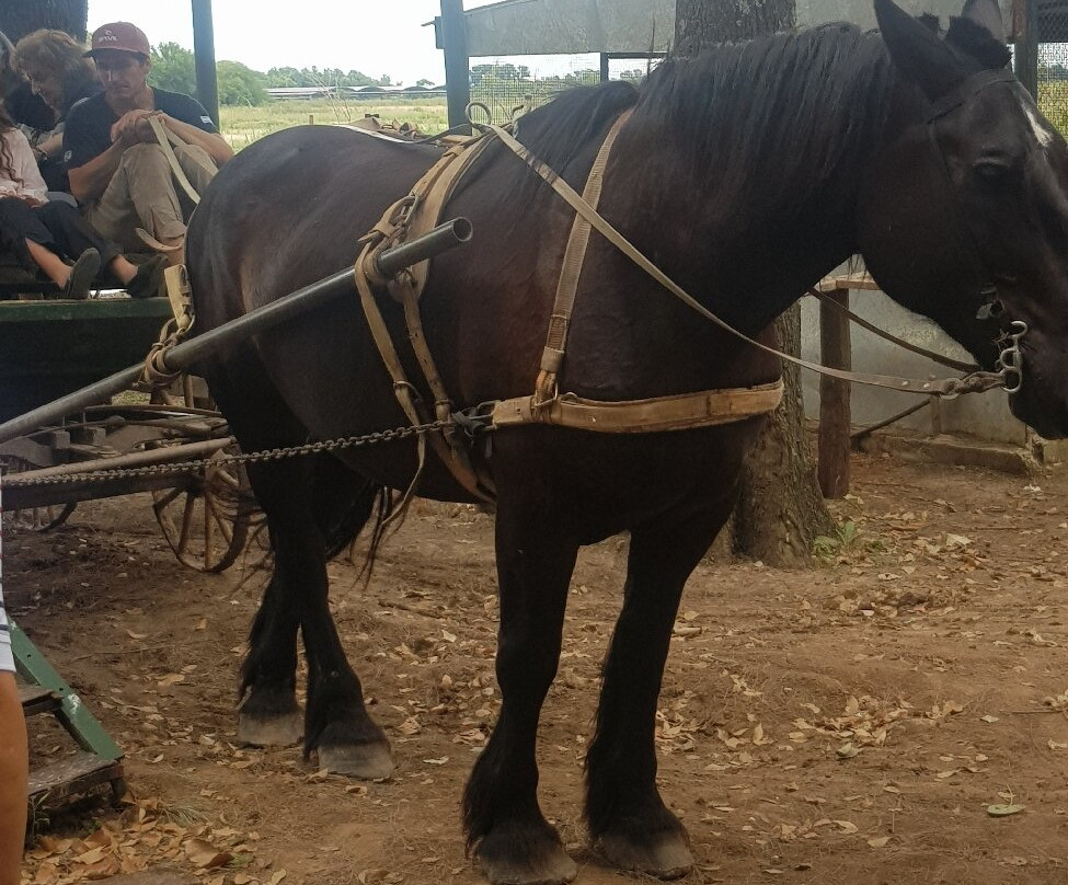 Estancia Don Silvano主图