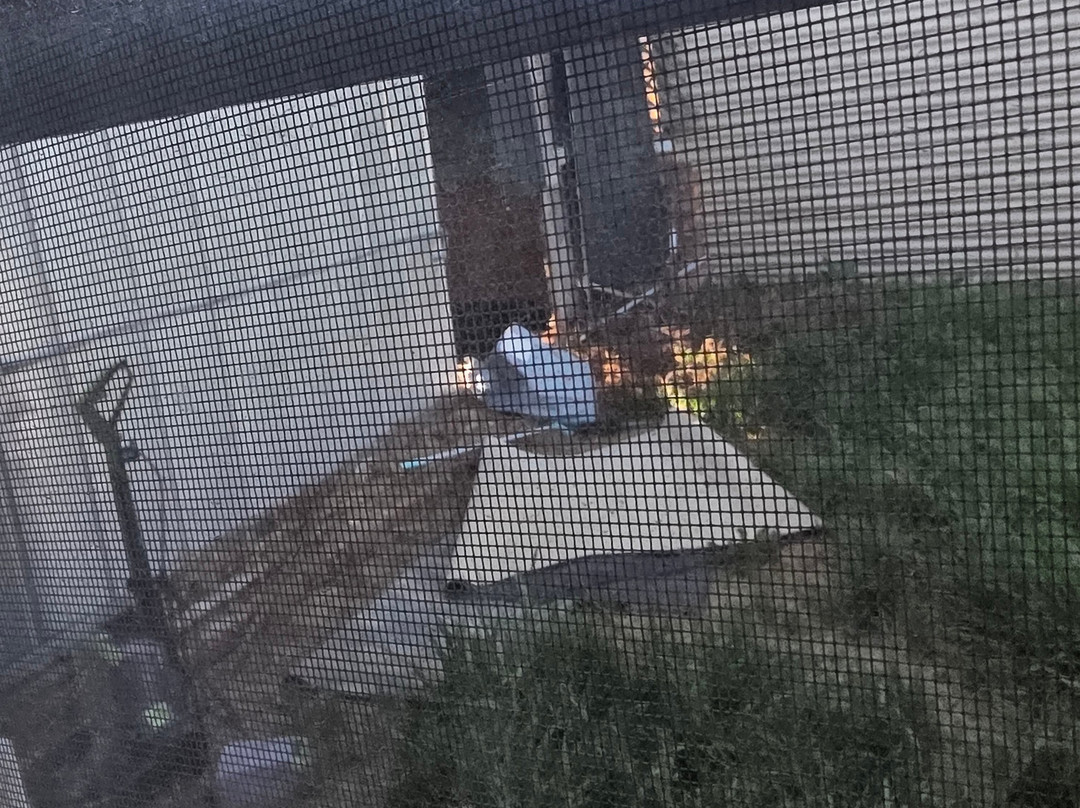 Anna Bella Motel主图