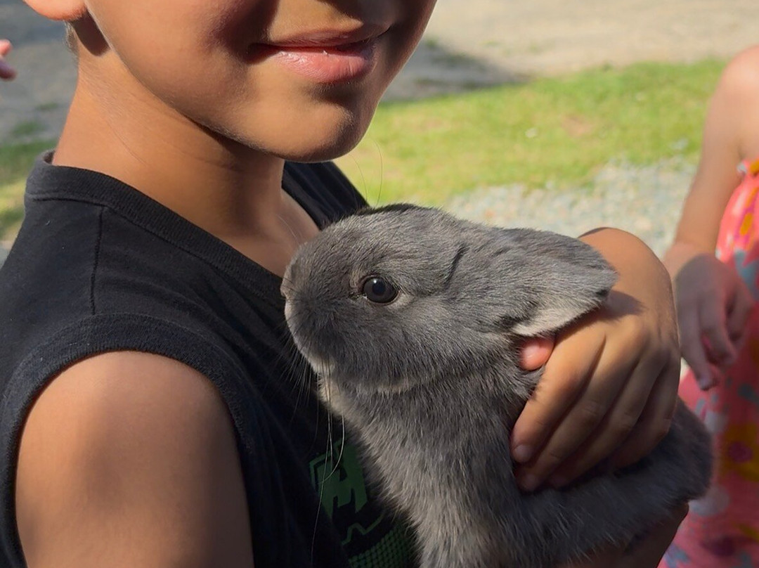 Parque Terra Atlântica-佩尼亚必去景点