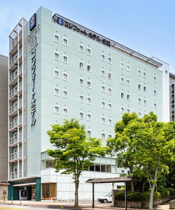 成田机场舒适酒店酒店图片
