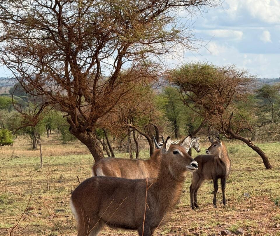 Earth Adventure-马斯喀特必去景点