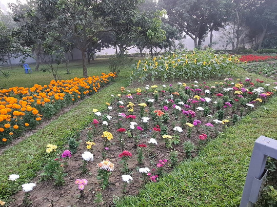 Dream Square Resort主图