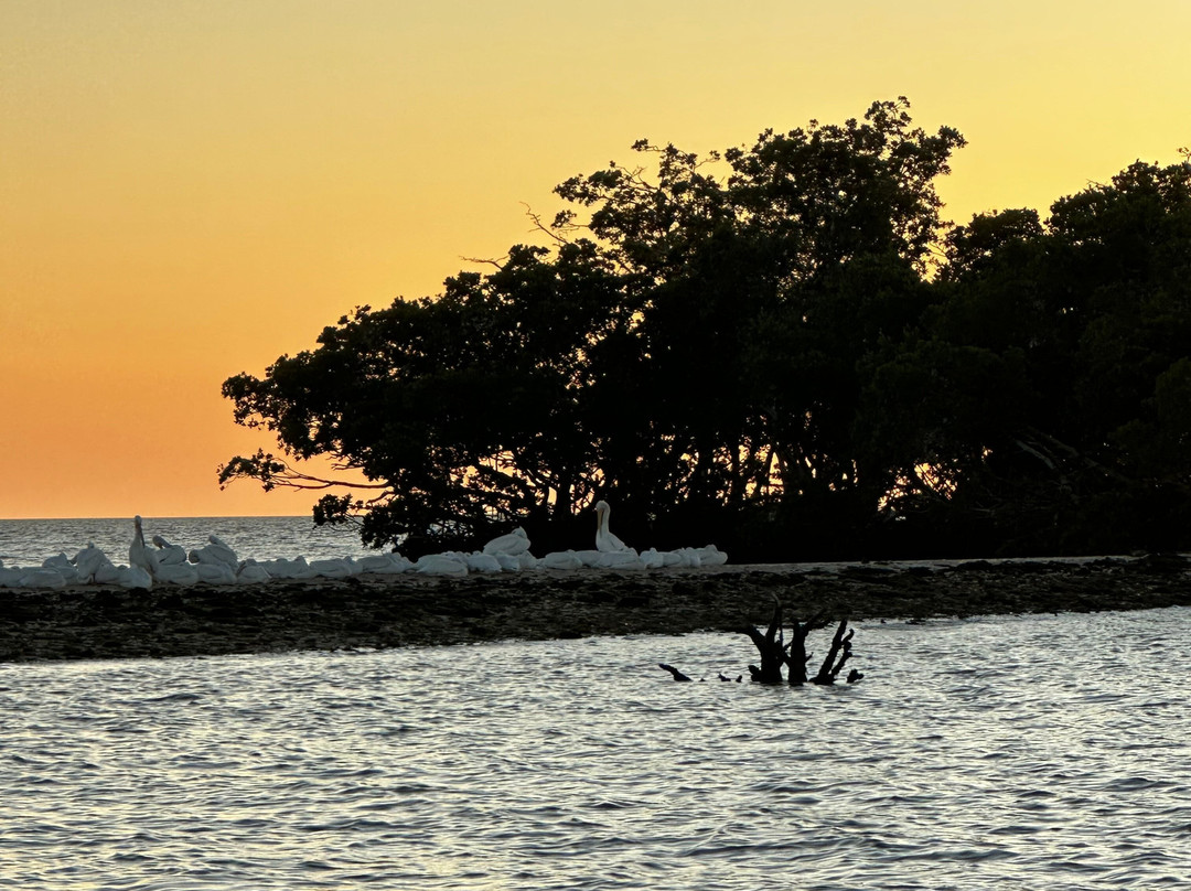 Smallwood Store Boat Tour-Chokoloskee必去景点
