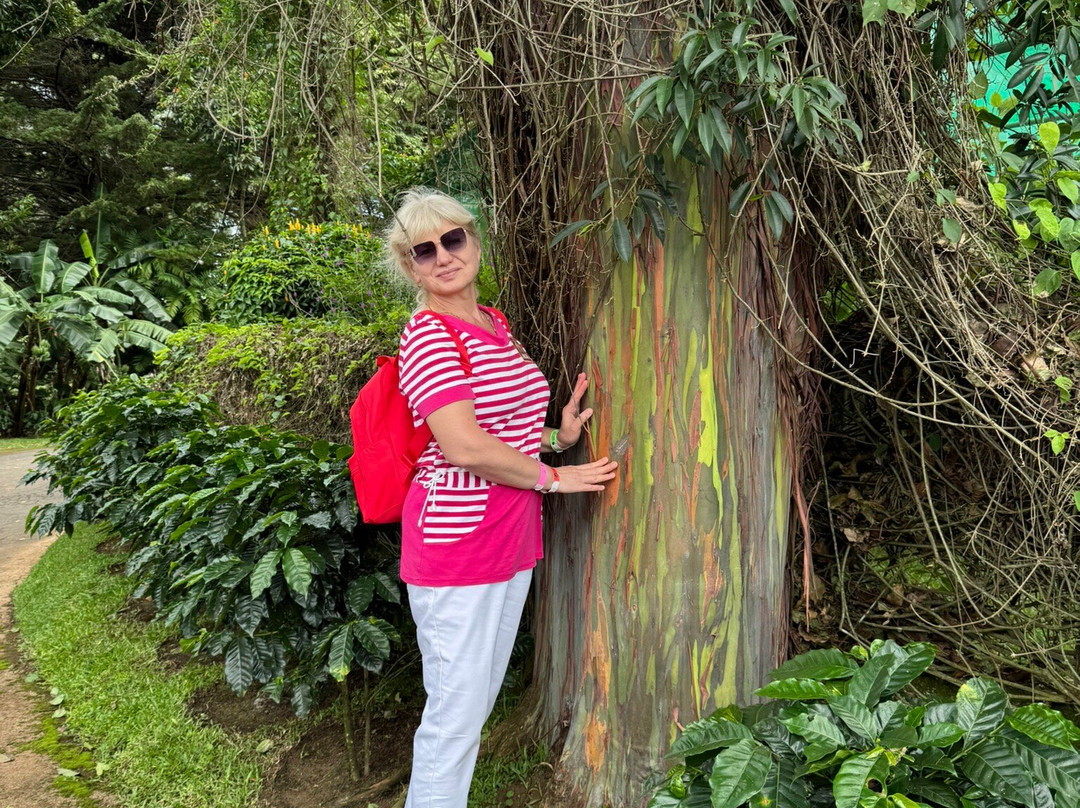 Doka Estate Coffee Tour-Poas Volcano National Park必去景点