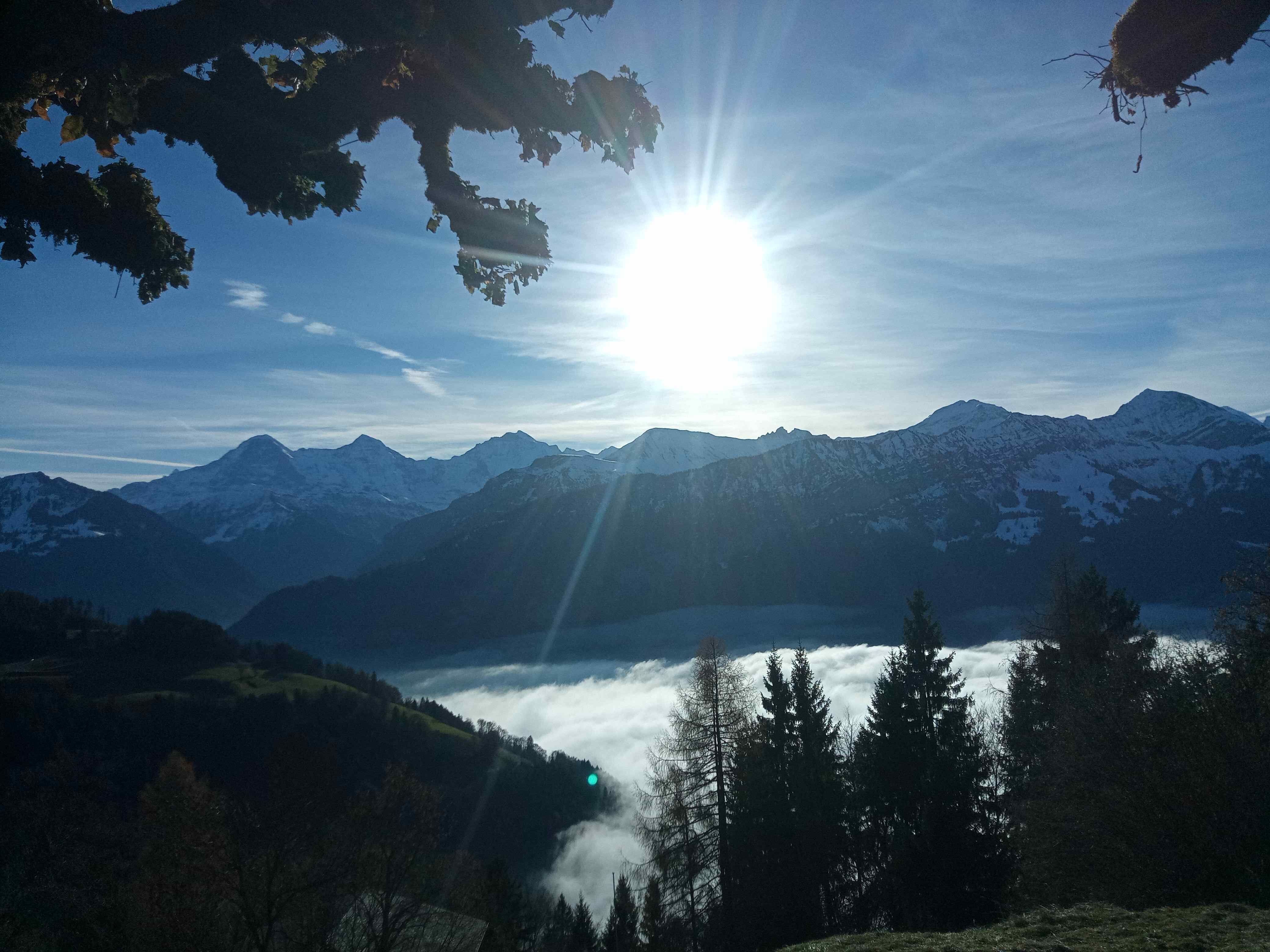 Beatenberg Resort and Spa in Beatenberg Interlaken-官方