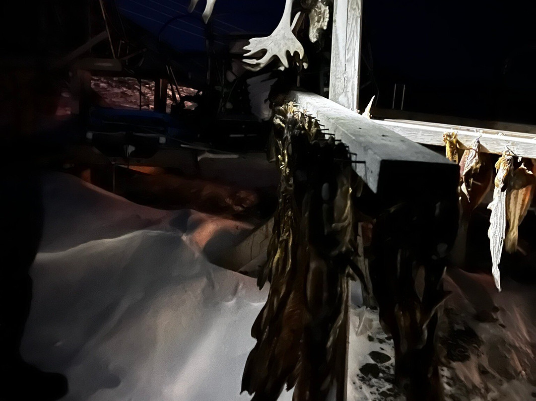 Husky Travellers-朗伊尔城必去景点