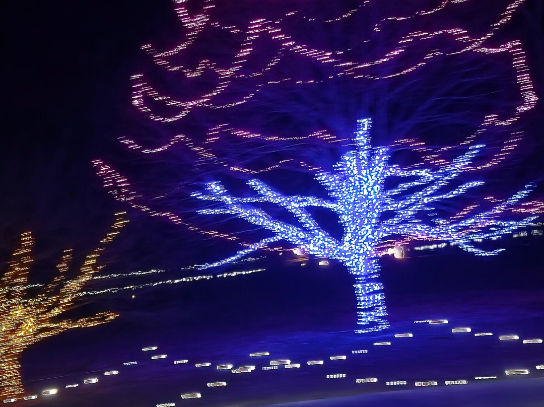 Honor Heights Park-马斯科吉必去景点