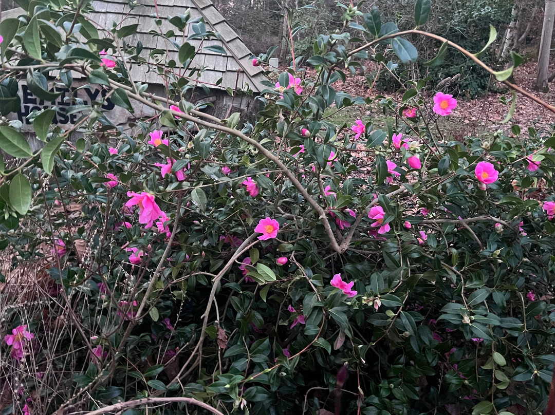 Green Island Gardens-Ardleigh必去景点