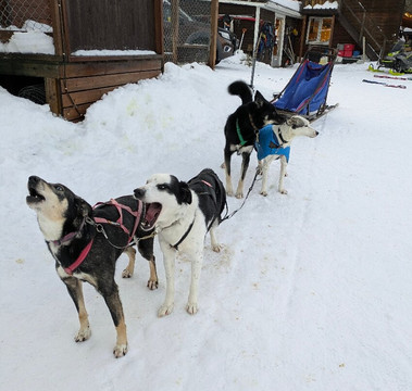 基律纳风情一日游-基律纳必去景点