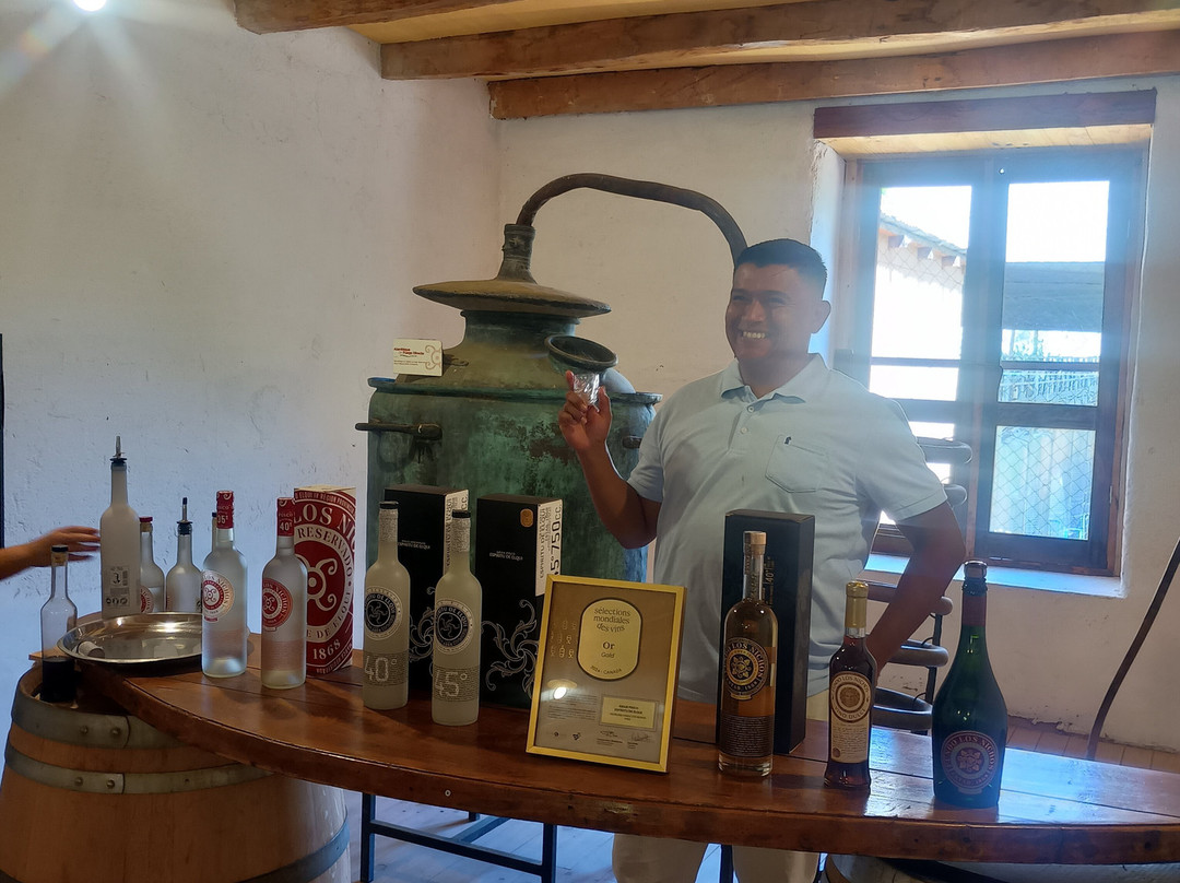 Fundo Los Nichos-Pisco Elqui必去景点