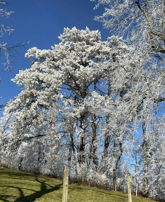 Vorbourg Point de vue Notre Dame du Chêne-德莱蒙必去景点