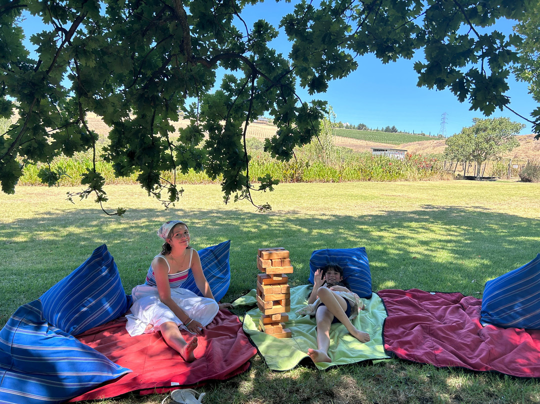 Hartenberg Wine Estate-斯泰伦博斯必去景点