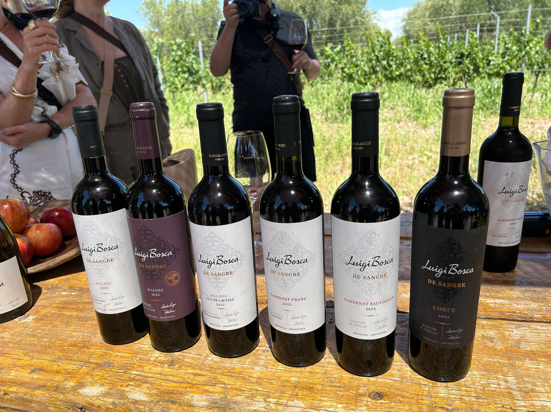 Finca El Paraíso - Bodega Luigi Bosca-Maipu必去景点