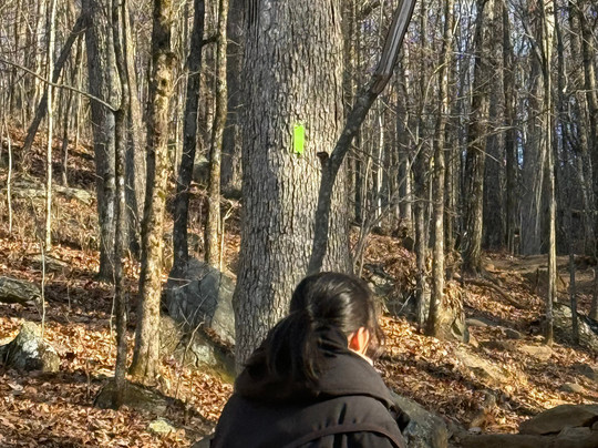 Yonah Mountain Hiking Trail-海伦必去景点