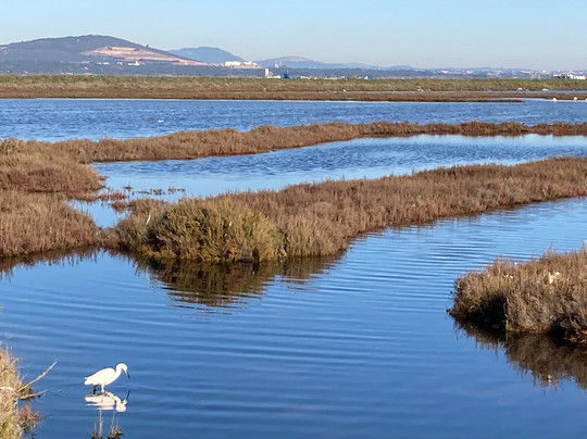 Plage des Aresquiers-Frontignan必去景点