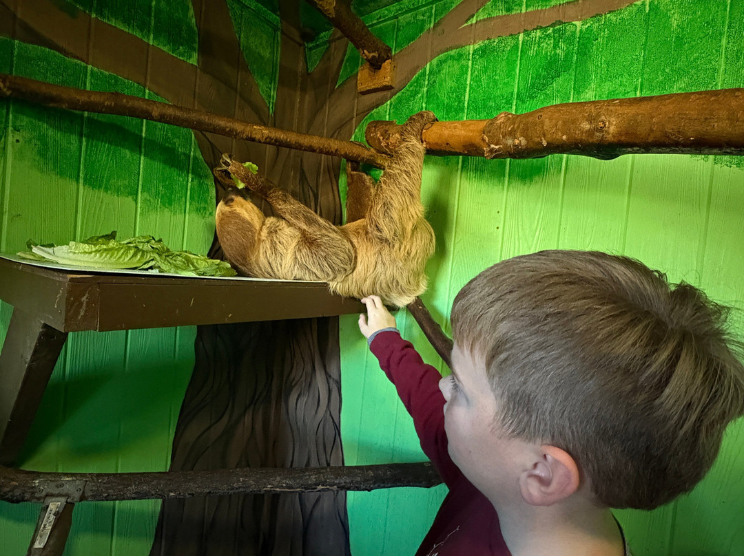 North Georgia Wildlife Park-Cleveland必去景点