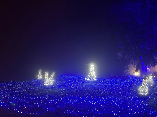 Christmas Garden Insel Mainau-康士坦茨必去景点