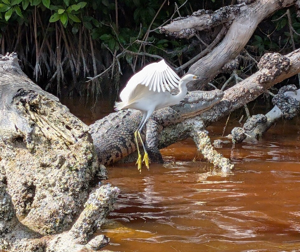 Guardianes De Los Manglares De Dzinintún-塞莱斯顿必去景点